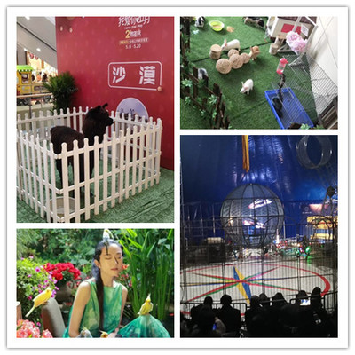 福州市海洋生物展租賃