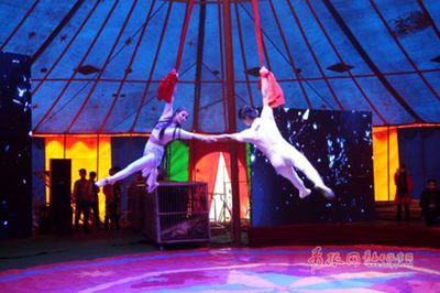 馬戲團表演的電話