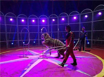 地產開盤暖場大馬戲團表演出租咨詢預定