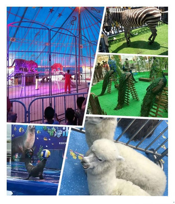 興安盟馬戲團(tuán)表演租賃狗熊雜技表演