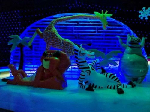 醴陵蝴蝶標(biāo)本出租合作的費(fèi)用多少