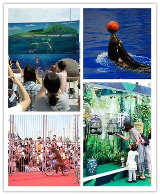 無(wú)錫什么地方有動(dòng)物表演租賃