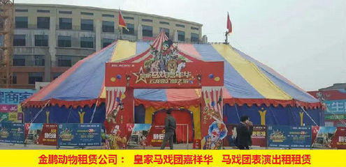 黃石市馬戲團表演出租 人員雜技表演動物展覽