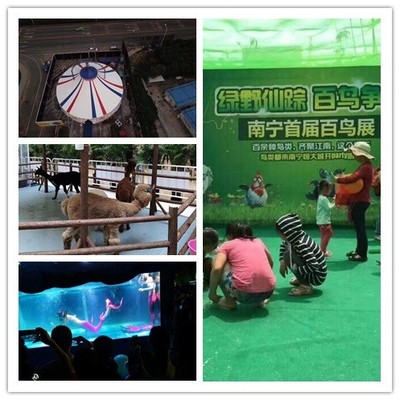 浙江省皇家馬戲團表演出租租賃海洋展