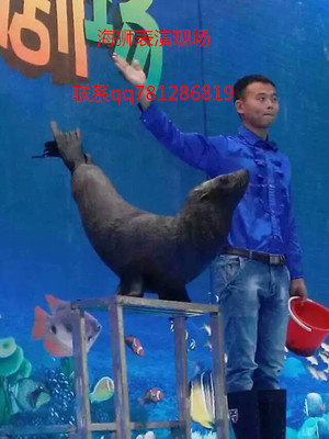 中山馬戲團租賃_供應信息_金農(nóng)網(wǎng)