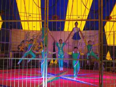 金華馬戲團(tuán)表演出租團(tuán)隊(duì)聯(lián)系電話資源