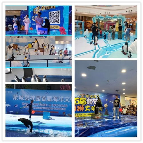 平?jīng)鍪旭R戲團(tuán)表演動(dòng)物租賃形式豐富