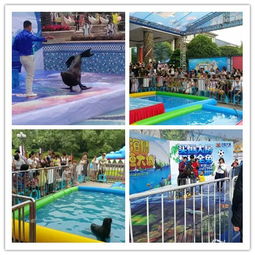 陜西商洛市小型馬戲團演出出租價格多少