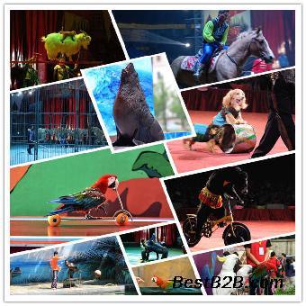 馬戲團表演出租天津_志趣網