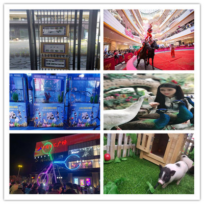 三明美人魚表演出租租賃