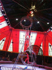 馬戲團表演出租暑假更優(yōu)惠