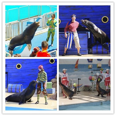 ---湘西奇幻海洋生物水母魚缸展租賃為您量身定制2022已更新(今天/資訊)