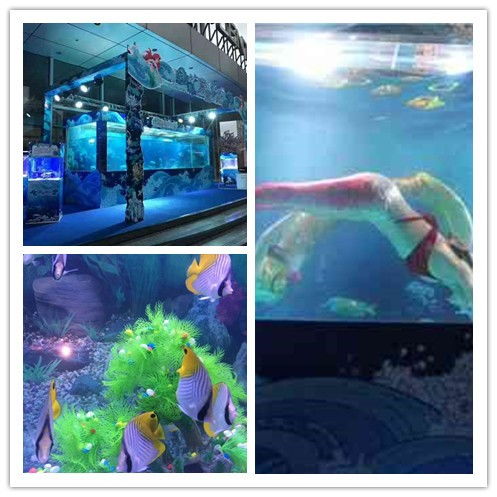 七臺河市美人魚表演與馬戲團(tuán)租賃服務(wù)指南